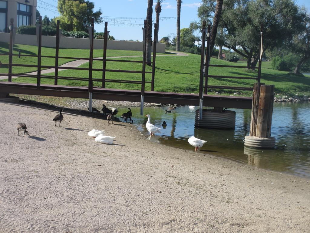 Mccormick Ranch Golf Villa Scottsdale Kültér fotó